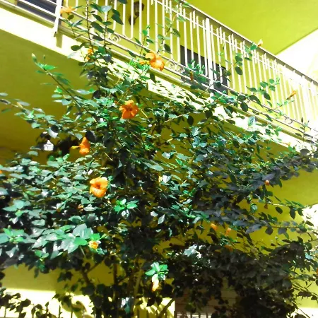 Bed and Breakfast Arena Μπαγκερία